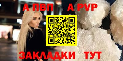 стаф Можга
