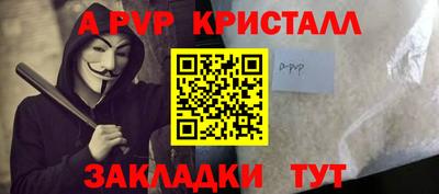 стаф Можга