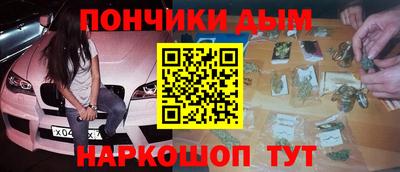 стаф Можга