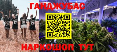 стаф Можга
