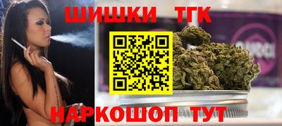 стаф Можга