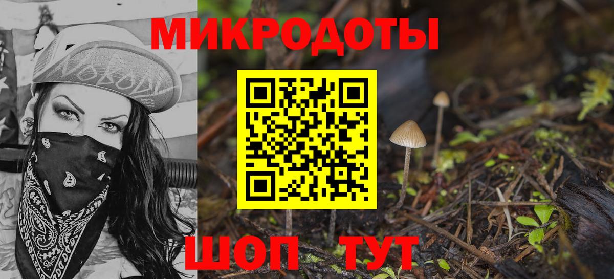 Владикавказ  купить  сайты  Вход с VPN  Псилоцибиновые грибы Cubensis 